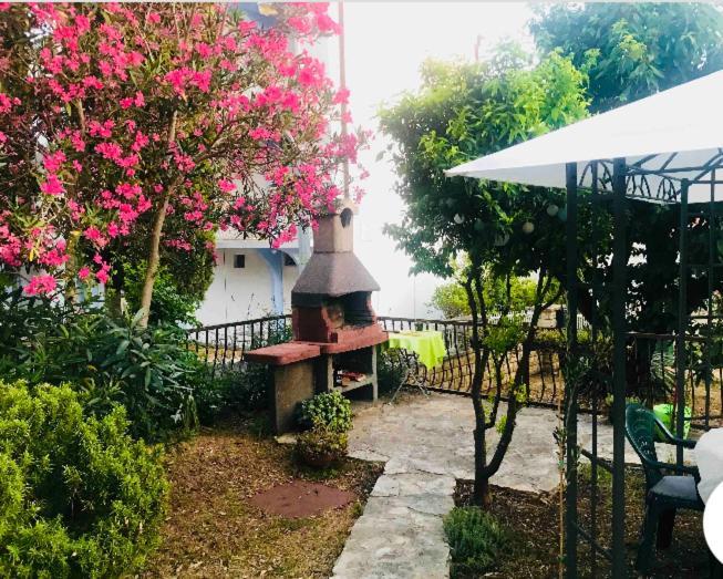 Villa La More - Sv Filip I Jakov Sveti Filip i Jakov Exterior foto